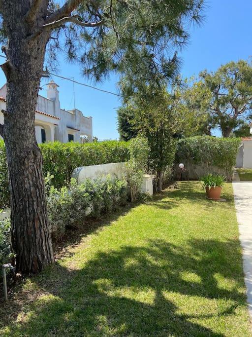 Villa A Marina Di ออสตูนี ภายนอก รูปภาพ