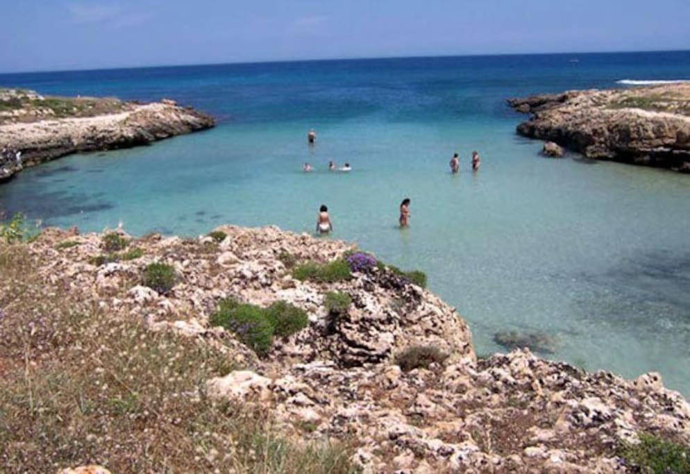 Villa A Marina Di ออสตูนี ภายนอก รูปภาพ